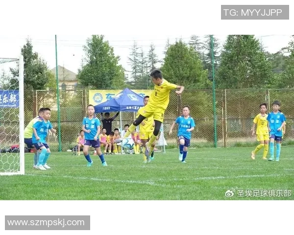 足球明星的荣耀与责任:从绿茵场到军营的双重人生探索